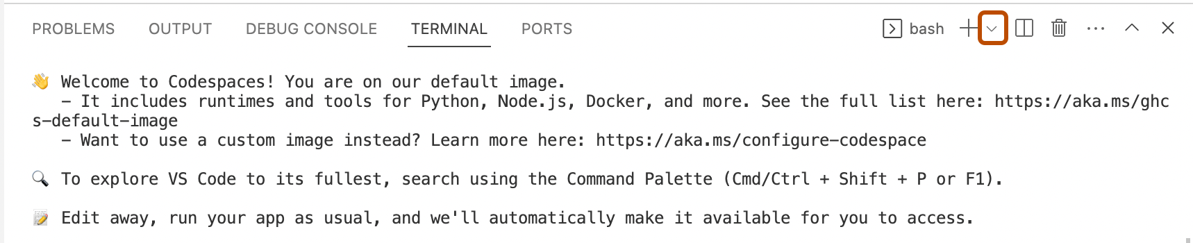 Screenshot of the integrated terminal in VS Code. Next to the plus icon, a downward-facing arrow is outlined in orange.