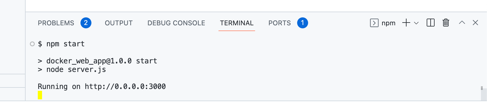 Screenshot of running "npm start" in the Terminal. The final output reads "Running on http://0.0.0.0:3000."