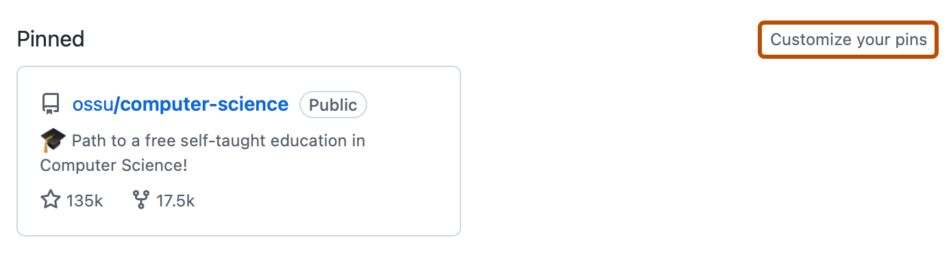ユーザー プロファイルの [Pinned] (ピン留め) セクションのスクリーンショット。 [ピンのカスタマイズ] というラベルが付いたリンクがオレンジ色の枠線で強調表示されています。