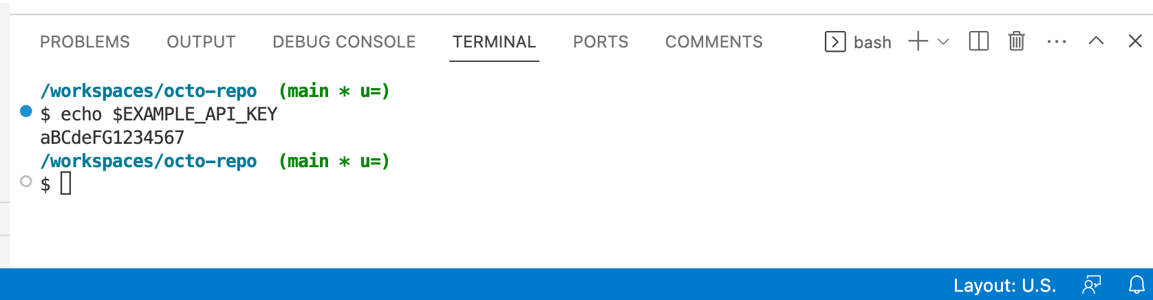 VS Code.의 터미널 스크린샷입니다. "echo $EXAMPLE_API_KEY" 명령이 "aBCdeFG1234567"을 반환했습니다.