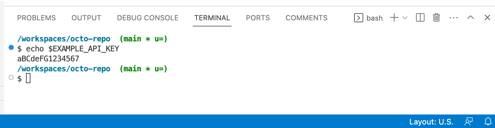 Screenshot of the Terminal in VS Code. The command "echo $EXAMPLE_API_KEY" has returned "aBCdeFG1234567."