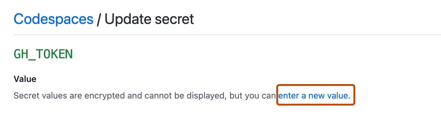 Screenshot der Seite Codespaces/Geheimnis aktualisieren Der Link „Neuen Wert eingeben“ ist mit einer dunklen orangefarbenen Kontur hervorgehoben.