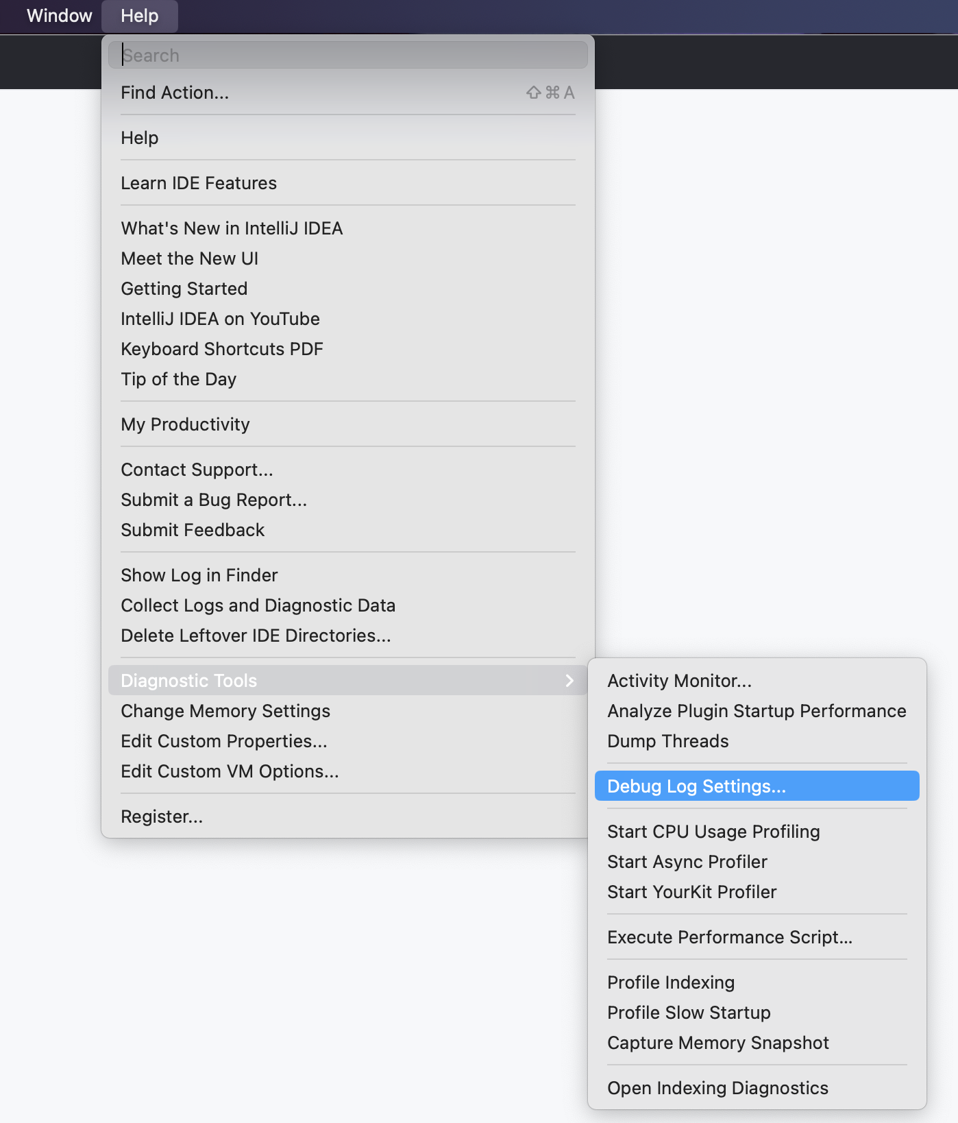 Capture d’écran de la barre de menus dans un IDE JetBrains. Le menu « Aide » et le sous-menu « Outils de diagnostic » sont développés, et l’option « Paramètres du journal de débogage » est souligné  en bleu.