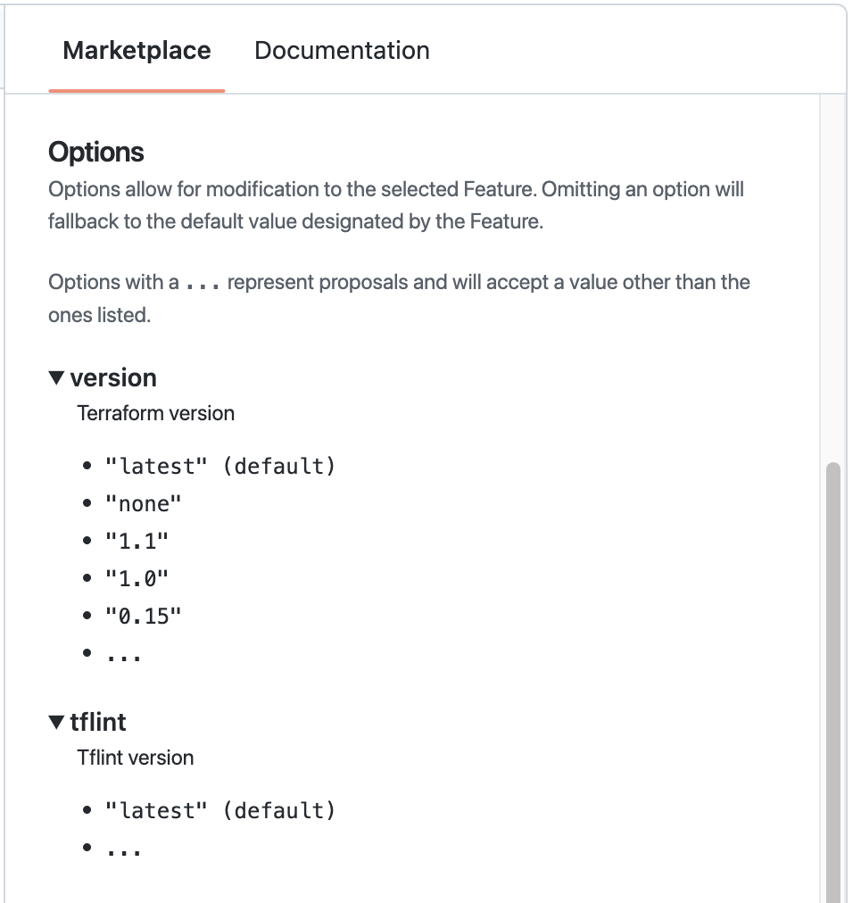Captura de tela da seção "Opções" da guia "Marketplace", com as propriedades "version" e "tflint" expandidas.