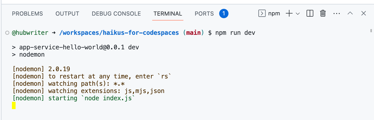 Screenshot des Terminals in VS Code mit eingegebenem Befehl „npm run dev“